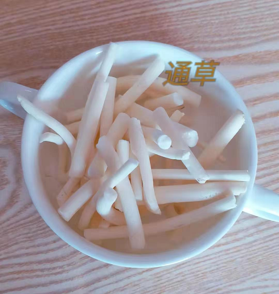 通草